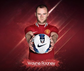 kaiyun官方网页登录平台操作流程深度分析